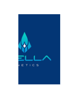 Stella Kinetics